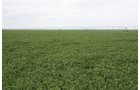 Property photo 87 - LAND AUCTION, 3255+/- Acres offered in 13 Tracts